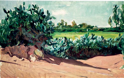 Sorolla paisaje